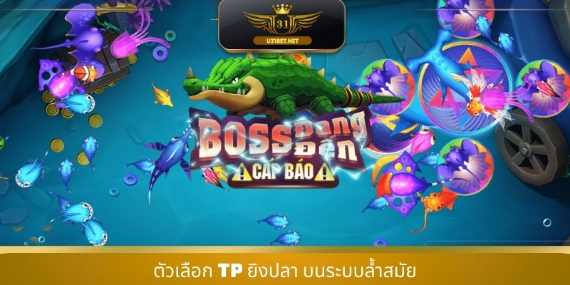 ตัวเลือก TP ยิงปลา บนระบบล้ำสมัย